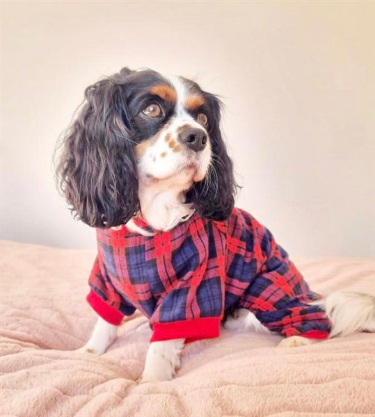 Scottish Pajama, Red/Blue Plaid