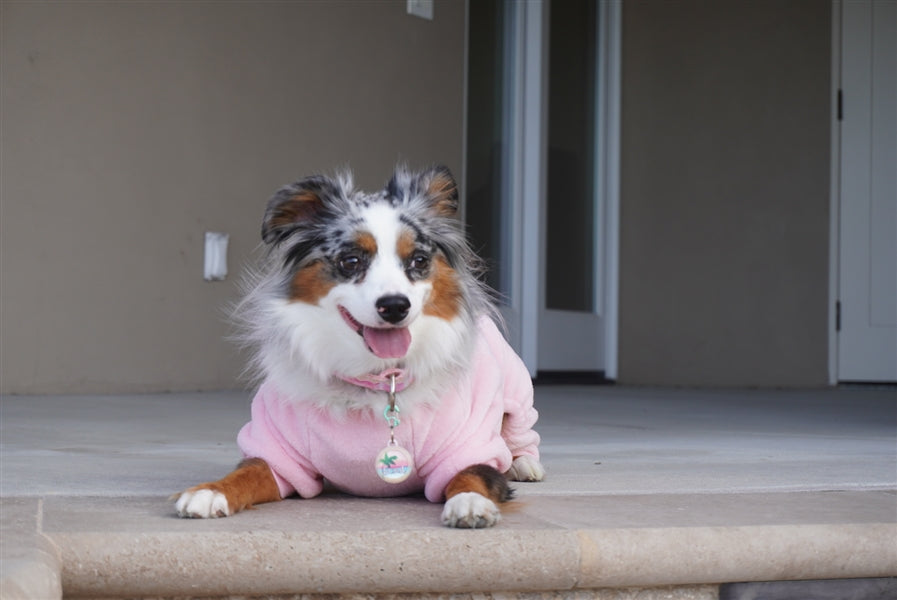 Parisian Pet 'Velour Pajama Blush' for Dogs & Cats, Soft Pet Sleepwear, Luxury Dog Pajamas, Blush Pink-Valentine's Day