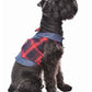 Parisian Pet 'Scottish Pleated Tuxedo Red/Blue Plaid' for Dogs & Cats, Stylish Pet Party Tuxedo, Christmas Pet Tuxedo