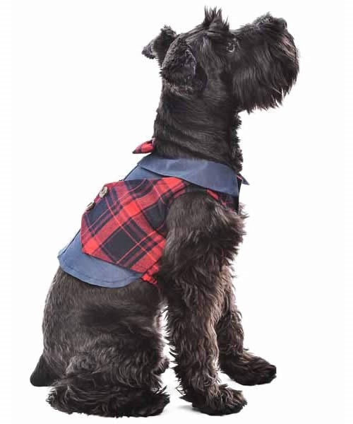 Scottish Pleated Tuxedo, Red/Blue Plaid