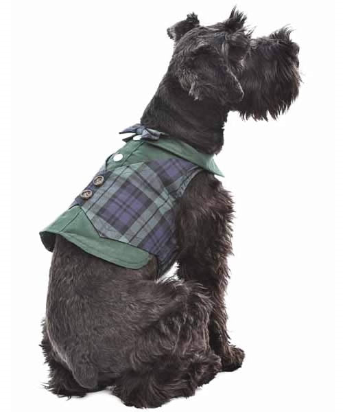 Scottish Taffeta Tuxedo, Green/Blue Plaid