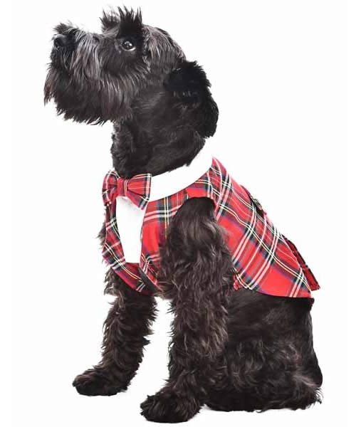 Parisian Pet 'Tartan Tuxedo White/Red' for Dogs and Cats, Stylish Christmas Formal Wear, Designer Pet Tuxedo