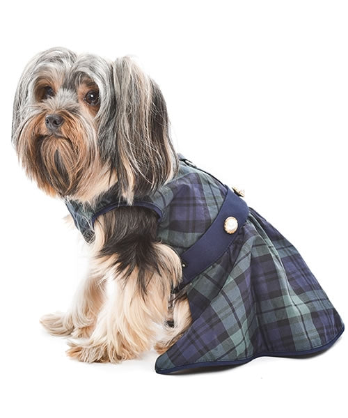 Parisian Pet 'Scottish Taffeta Dress' Dog & Cat Shirt – Festive Holiday Plaid Dog Dress, Comfortable & Stylish – Green, Blue