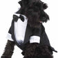 Parisian Pet 'Satin Party Tux' for Dogs and Cats, Designer Holiday Pet Tuxedo, Satin Formal Wear, Black & White-Valentine's Day