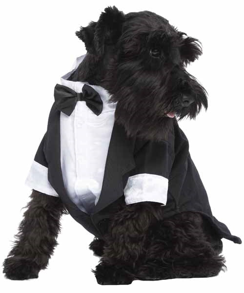 Parisian Pet 'Satin Party Tux' for Dogs and Cats, Designer Holiday Pet Tuxedo, Satin Formal Wear, Black & White-Valentine's Day