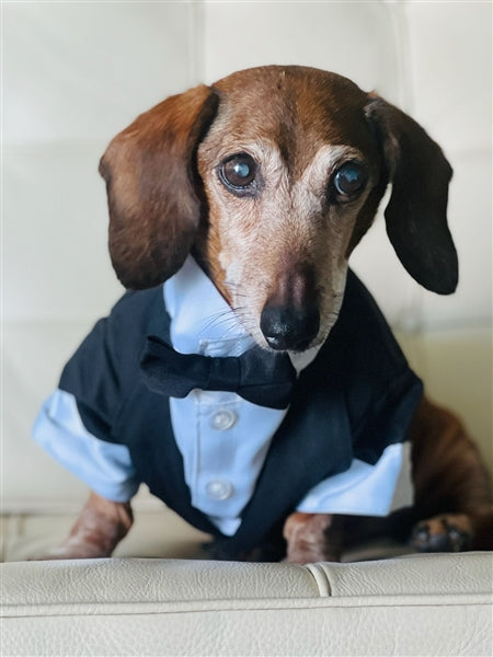 Satin Party Tux