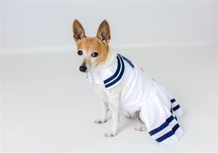 Parisian Pet 'Sailor Dress' Dog & Cat Shirt – Nautical Pet Apparel, Stylish & Comfortable – White & Blue