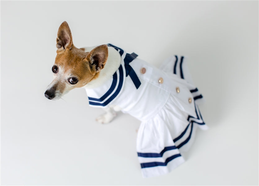 Parisian Pet 'Sailor Dress' Dog & Cat Shirt – Nautical Pet Apparel, Stylish & Comfortable – White & Blue