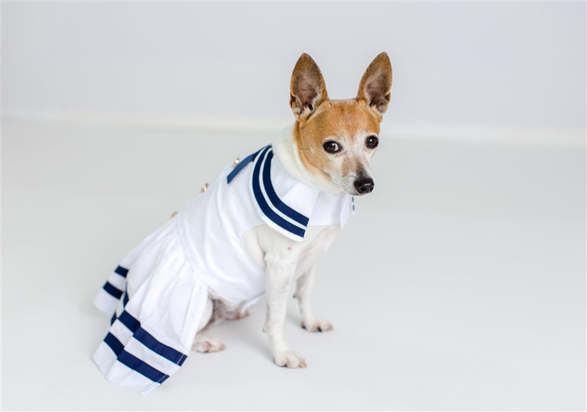 Parisian Pet 'Sailor Dress' Dog & Cat Shirt – Nautical Pet Apparel, Stylish & Comfortable – White & Blue