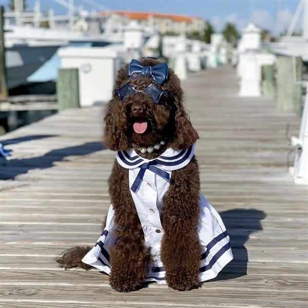 Parisian Pet 'Sailor Dress' Dog & Cat Shirt – Nautical Pet Apparel, Stylish & Comfortable – White & Blue