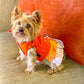 Parisian Pet 'Color Block Garden Dress' for Dogs and Cats, Comfortable and Stylish, Summer Outfit, Orange