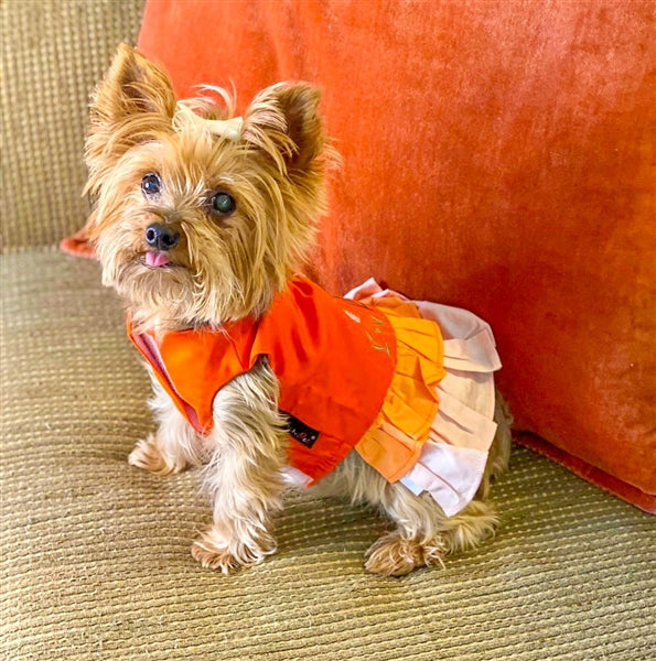 Parisian Pet 'Color Block Garden Dress' for Dogs and Cats, Comfortable and Stylish, Summer Outfit, Orange