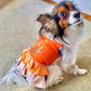 Parisian Pet 'Color Block Garden Dress' for Dogs and Cats, Comfortable and Stylish, Summer Outfit, Orange