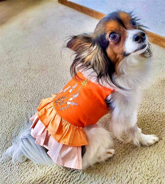 Parisian Pet 'Color Block Garden Dress' for Dogs and Cats, Comfortable and Stylish, Summer Outfit, Orange