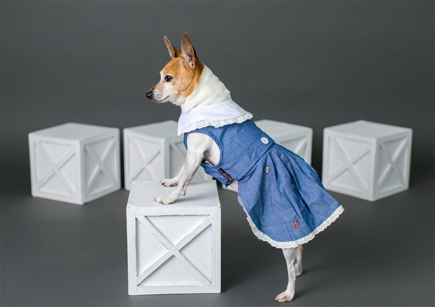 Parisian Pet 'Prairie Dress' for Dogs and Cats, Floral Design, Comfortable Lightweight Outfit, Denim & White