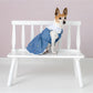 Parisian Pet 'Prairie Dress' for Dogs and Cats, Floral Design, Comfortable Lightweight Outfit, Denim & White