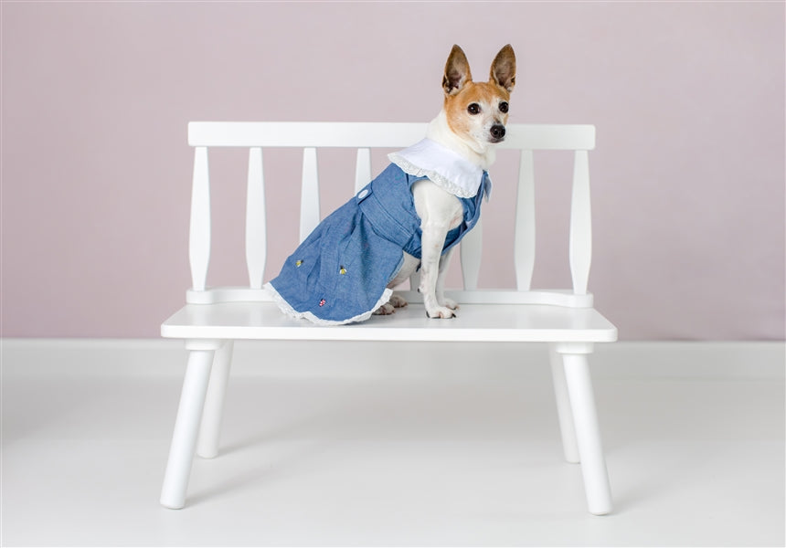 Parisian Pet 'Prairie Dress' for Dogs and Cats, Floral Design, Comfortable Lightweight Outfit, Denim & White