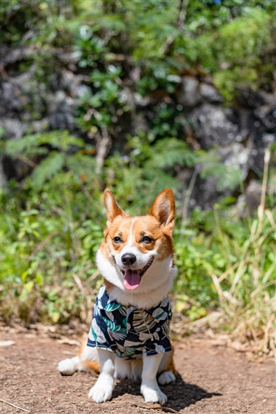 Palm Leaves Camp Shirt