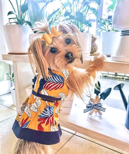 Parisian Pet 'Designer Dog Dress' for Dogs and Cats, Leaf Pattern, Lightweight Summer Outfit, Multicolor, Yellow, White, Blue, Red