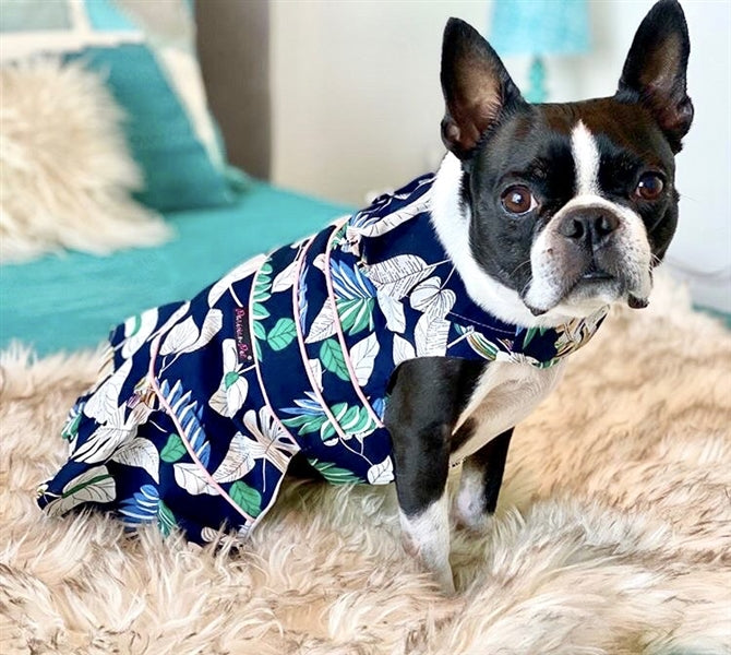 Parisian Pet 'Palm Leaves Dress' Dog & Cat T-Shirt – Comfortable Stylish Summer Dog Dress – Green, White