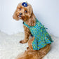 Parisian Pet 'Tribal Dress' for Dogs and Cats, Ruched Waist, Stylish and Comfortable, Tribal Print - Green, Blue, Yellow