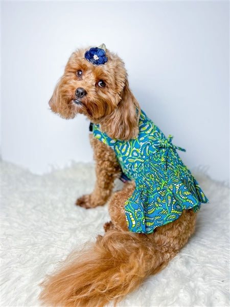 Parisian Pet 'Tribal Dress' for Dogs and Cats, Ruched Waist, Stylish and Comfortable, Tribal Print - Green, Blue, Yellow