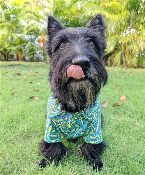 Parisian Pet 'Tribal' Dog & Cat T-Shirt – Lightweight Cotton, Stylish & Comfortable Summer Apparel - Saint Patrick's Day