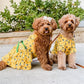 Parisian Pet 'Cactus Tiered Dress' Dog & Cat Shirt – Tropical Summer Outfit – Yellow