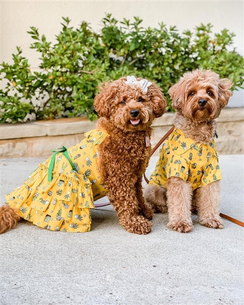 Parisian Pet 'Cactus Tiered Dress' Dog & Cat Shirt – Tropical Summer Outfit – Yellow