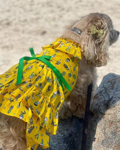 Cactus Tiered Dress