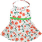 Red Poppies Boho Dog Dress