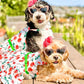 Parisian Pet 'Red Poppies Boho Dress' Dog & Cat T-shirt – Adjustable Floral Pet Dress, Perfect for Summer - Red, White, Green-Valentine's Day