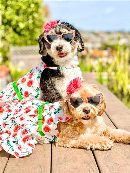 Parisian Pet 'Red Poppies Boho Dress' Dog & Cat T-shirt – Adjustable Floral Pet Dress, Perfect for Summer - Red, White, Green-Valentine's Day