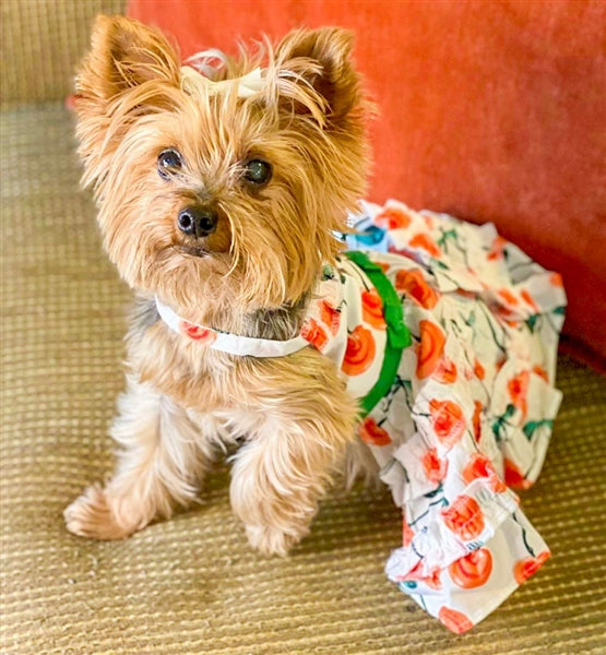 Parisian Pet 'Red Poppies Boho Dress' Dog & Cat T-shirt – Adjustable Floral Pet Dress, Perfect for Summer - Red, White, Green-Valentine's Day