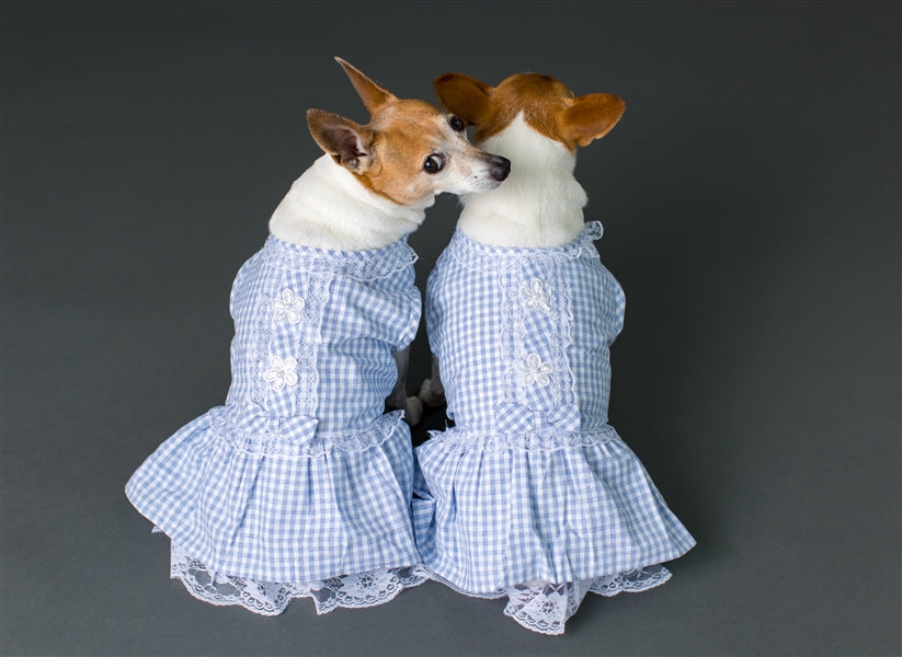 Parisian Pet 'Gingham Countryside Lace Dress' Dog & Cat Shirt – Stylish Blue Plaid Dress – Blue