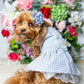 Parisian Pet 'Gingham Countryside Lace Dress' Dog & Cat Shirt – Stylish Blue Plaid Dress – Blue