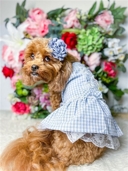 Parisian Pet 'Gingham Countryside Lace Dress' Dog & Cat Shirt – Stylish Blue Plaid Dress – Blue