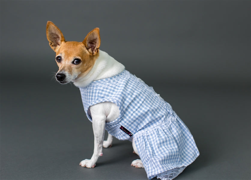 Parisian Pet 'Gingham Countryside Lace Dress' Dog & Cat Shirt – Stylish Blue Plaid Dress – Blue