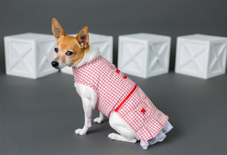 Parisian Pet 'Gingham Countryside Dress' Dog & Cat Shirt – Elegant Country Style Dog Dress –Red- Valentine's Day