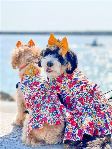 Parisian Pet 'Floral Artsy Dress' Dog & Cat Shirt – Stylish and Comfortable Designer Dog Clothing - Red, Yellow, Blue, White-Valentine's Day