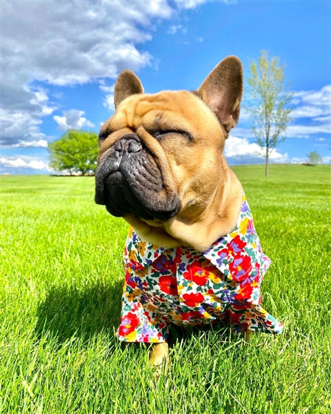 Floral Artsy Camp Shirt