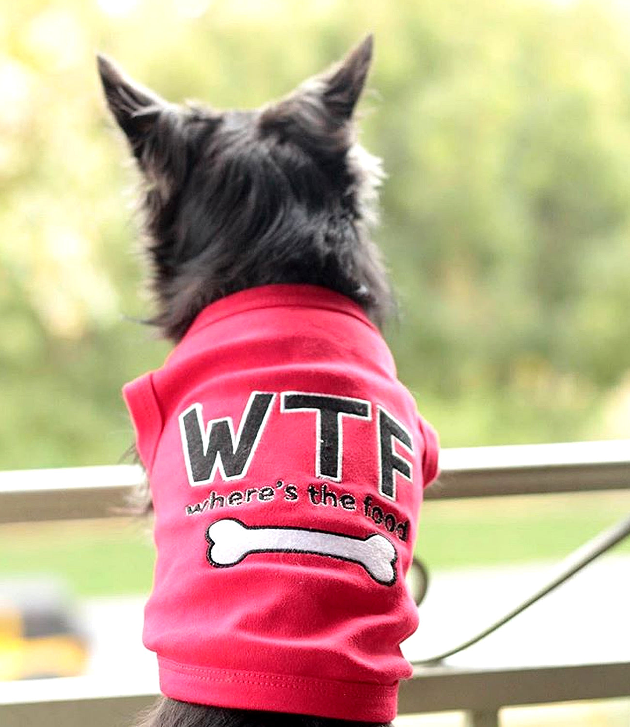 Parisian Pet 'WTF' Pet Shirt - Funny Dog & Cat Shirt, Red