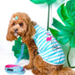 Parisian Pet 'Flamingos'  Dog Shirt – Lightweight & Breathable Summer Outfit for Small Dogs & Cats, Light Blue and White Stripes