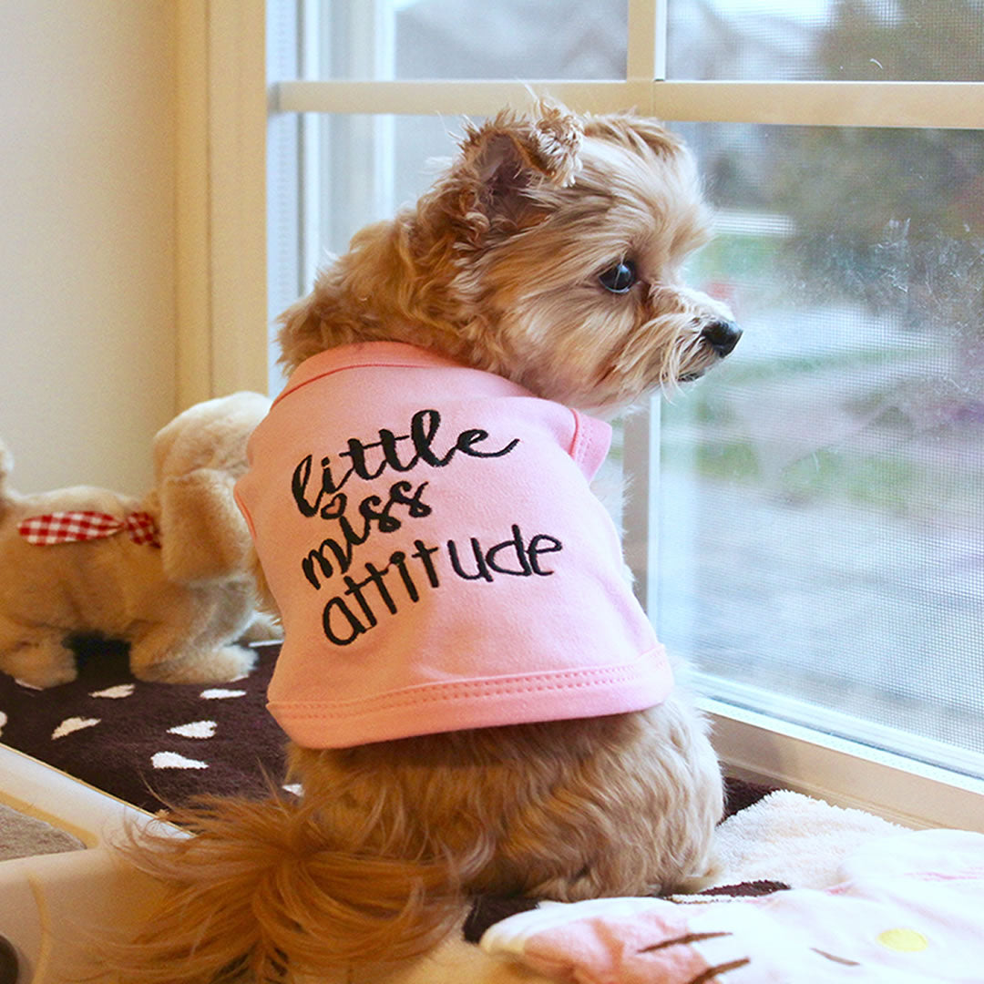 Parisian Pet 'Little Miss Attitude' Pet Shirt - Cute Dog & Cat Shirt, Pink