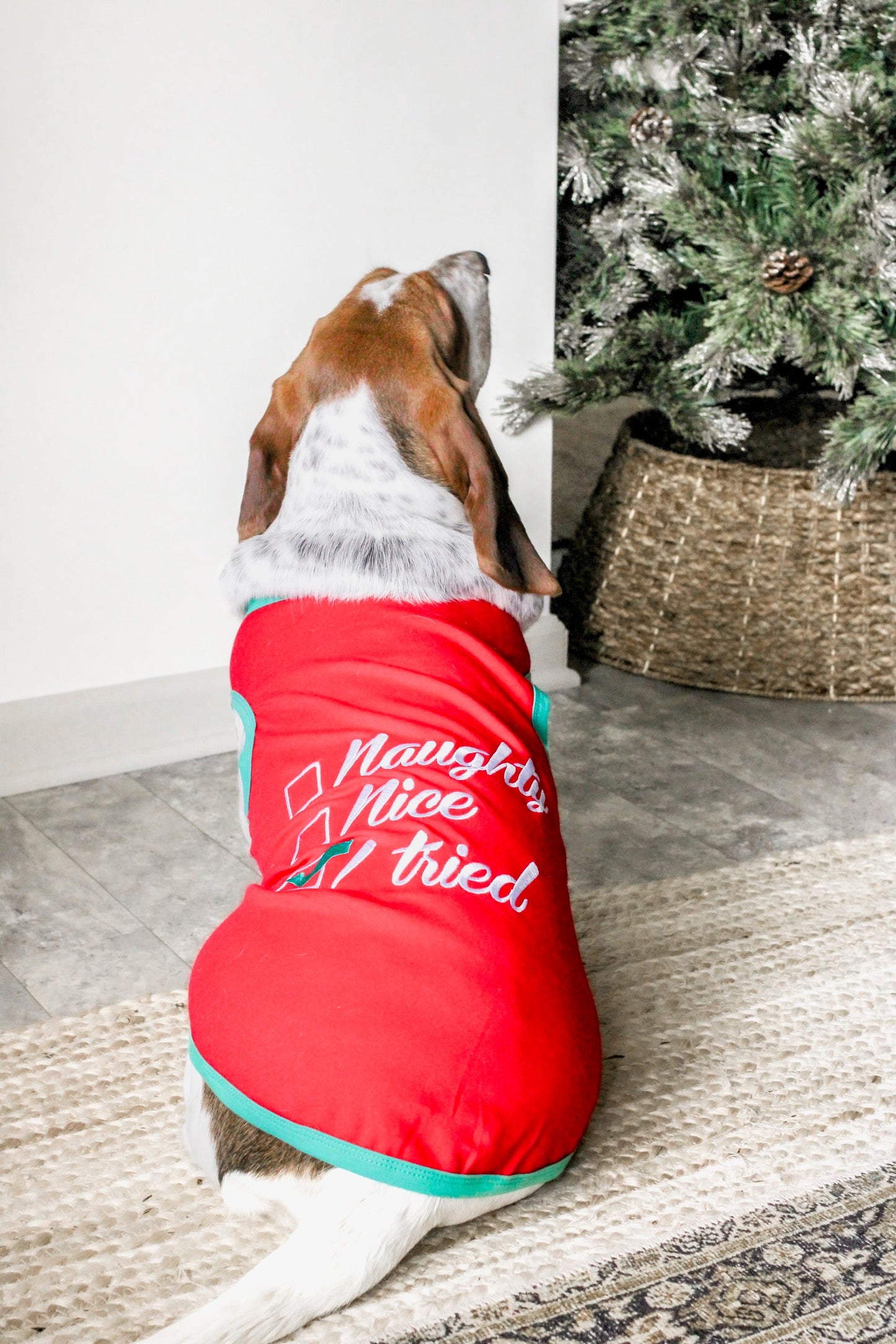 Parisian Pet 'Naughty or Nice' Dog Christmas T-Shirt - Festive Pet Holiday Shirt for Dogs & Cats, Red